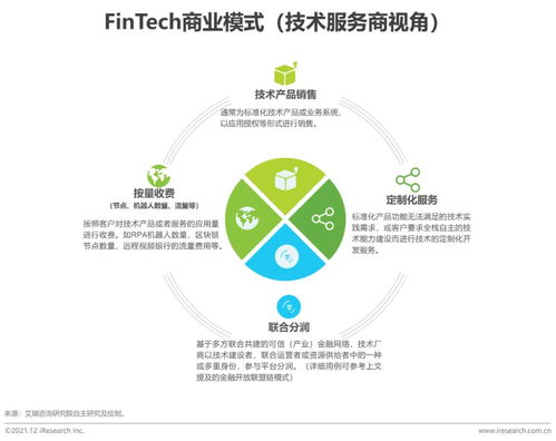 2021年中国金融科技行业发展洞察报告 网络技术服务视角