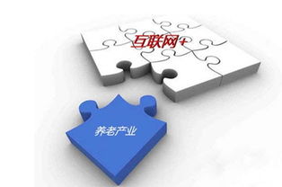 打造没有围墙的养老院 互联网技术如何重塑养老服务